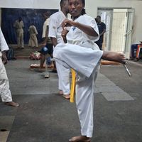 wolf.karateka