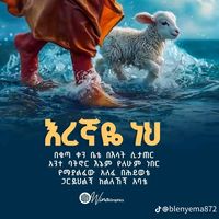 sebelaw358