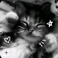 lover_4567986