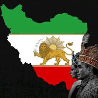 rojinashz