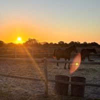 westcoasthorsetrails