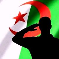 djelloulmerzoug72