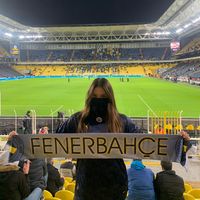 esilaergenekon