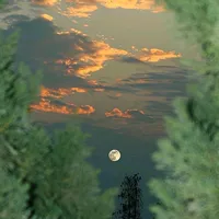 original sound - unsername_5433