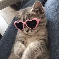 nivashiniiii