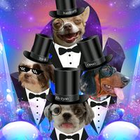 original sound - Dachshiwa The Pawmangyans
