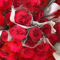 neeharaii__