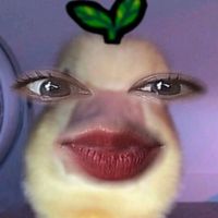 original sound - WWINDSOR_ROYALTY.