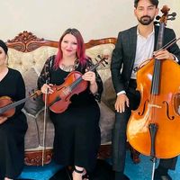 vialist_violinst