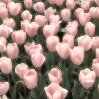 estefany7236
