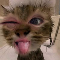 claira_gaming