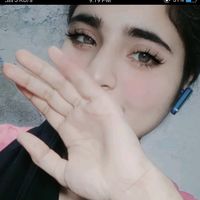 bobo88353