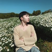 original sound - Boomnarbas_Colline