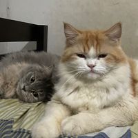 jhedaiiii_