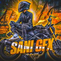 nw_sani_gfx_designer
