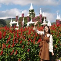 maple_mg