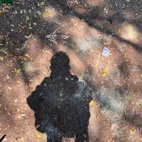 suara asli - Riski❄️