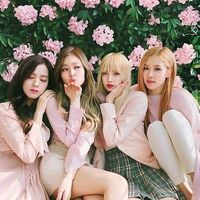 black_pinkfan01