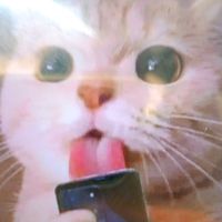 original sound - Soe Win (Kung Myat)😇🍉