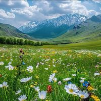 原聲 - 😘想念😘