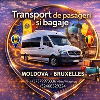 transport.moldova.belgia