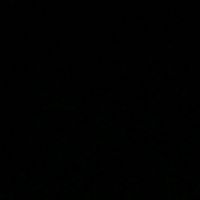 zainabshaheen15