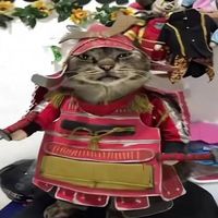 hmudeng