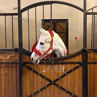 original sound - INTIصAAR🍂