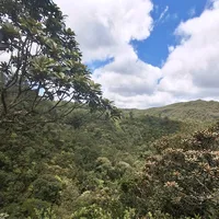 original sound - barbie_sienna