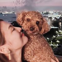 sora_toypoodle