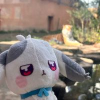 オリジナル楽曲 - かのん