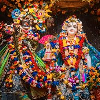 krishna07555
