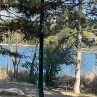 original sound - sol.yanim44