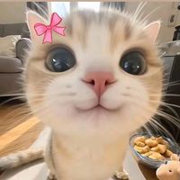 _sathi_81