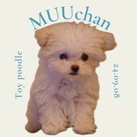 muuchan_0908