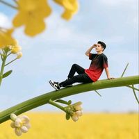 မူရင်းအသံ - sanLinko