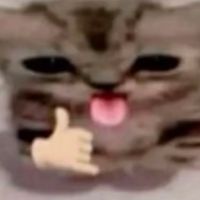 yiujsguh