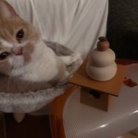 オリジナル楽曲 - りあ