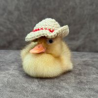 susithenaughtyduck