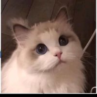 wanyy.nguyn7011
