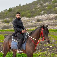 omar.diab585