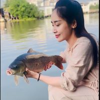 linhhoanhy
