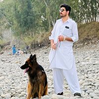 abbas8228