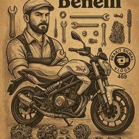 benelli_300service