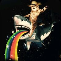 Like the stars