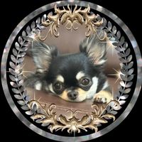 オリジナル楽曲 - 山ちゃん🐾