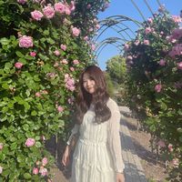 wakamei_329