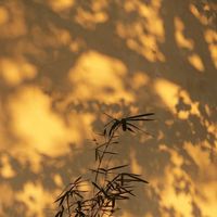 nhạc nền - Đại Nhất Tín