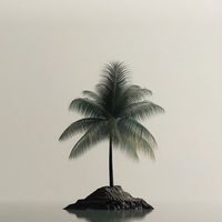 material_exanii2026