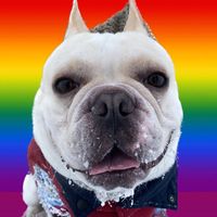 ore_frenchbull